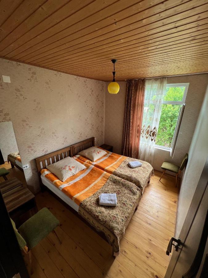 Barbara'S Eco-Cozy Guesthouse Mestia Exterior photo